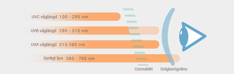 UVA-, UVB- och UVC-strålning på ögat