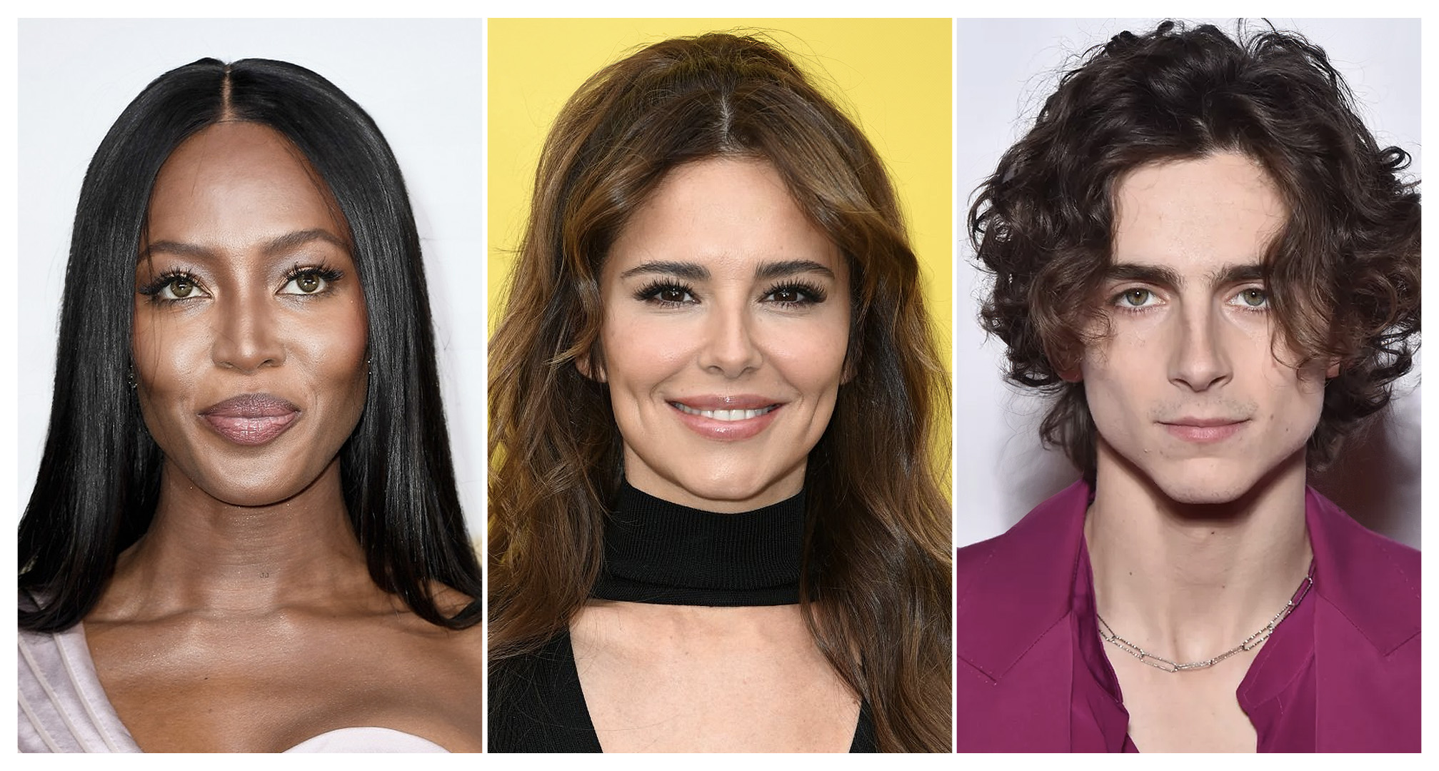 kollega av naomi Campbell, cheryl Cole, timothée chalamet