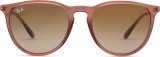 Ray-Ban Erika RB4171 659013 54 43714
