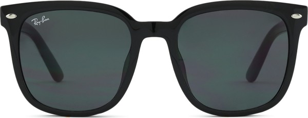Ray-Ban RB4401D 601/87