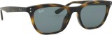 Ray-Ban RB4474D 710/87 54