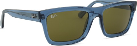 Ray-Ban Warren RB4396 668073 57
